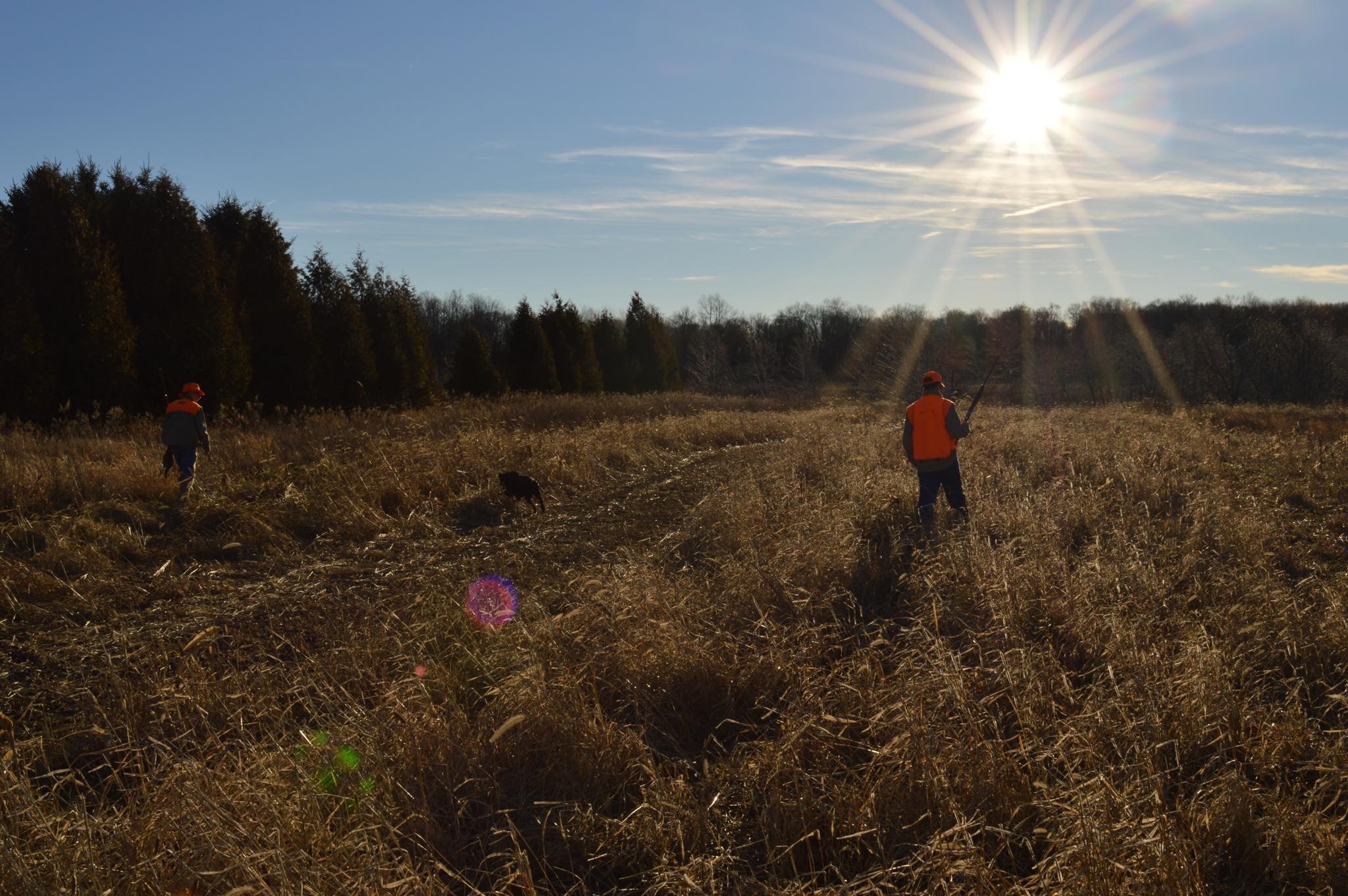 Hunting on a beautiful fall morning with my dad and our dogs.